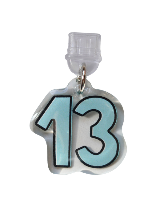 13 - USB C Dust Plug Charm